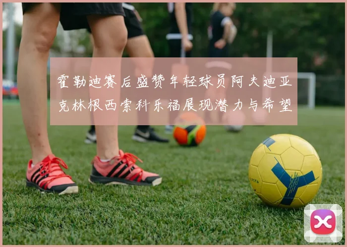 霍勒迪赛后盛赞年轻球员阿夫迪亚克林根西索科乐福展现潜力与希望